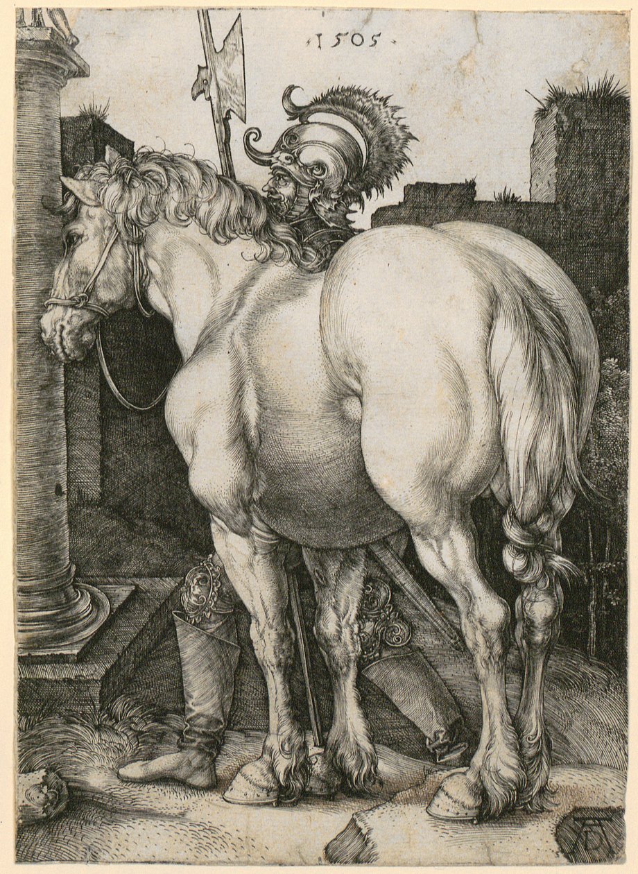Den store hest af Albrecht Dürer