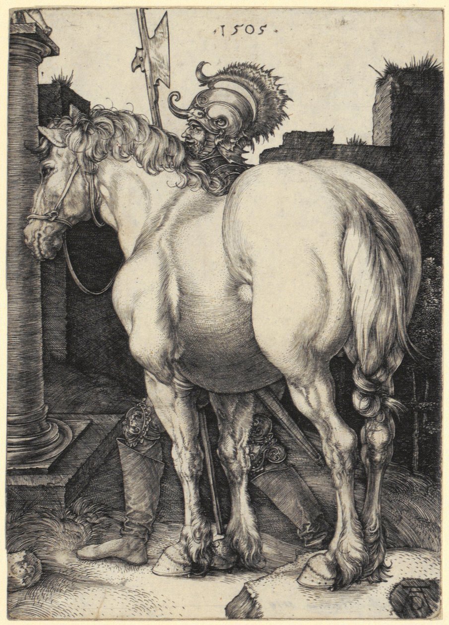 Stor hest af Albrecht Dürer