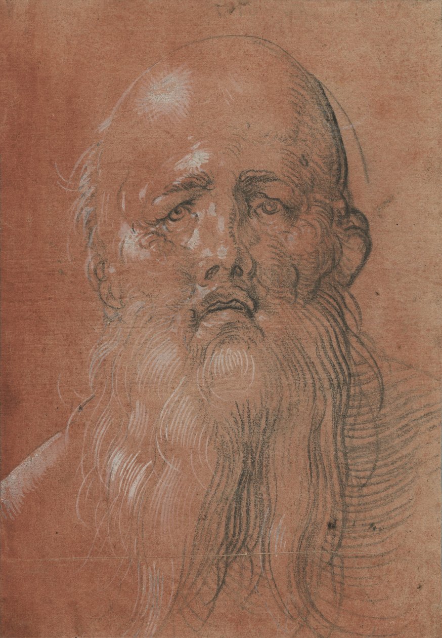 Hovedet af en skægget mand af Albrecht Dürer