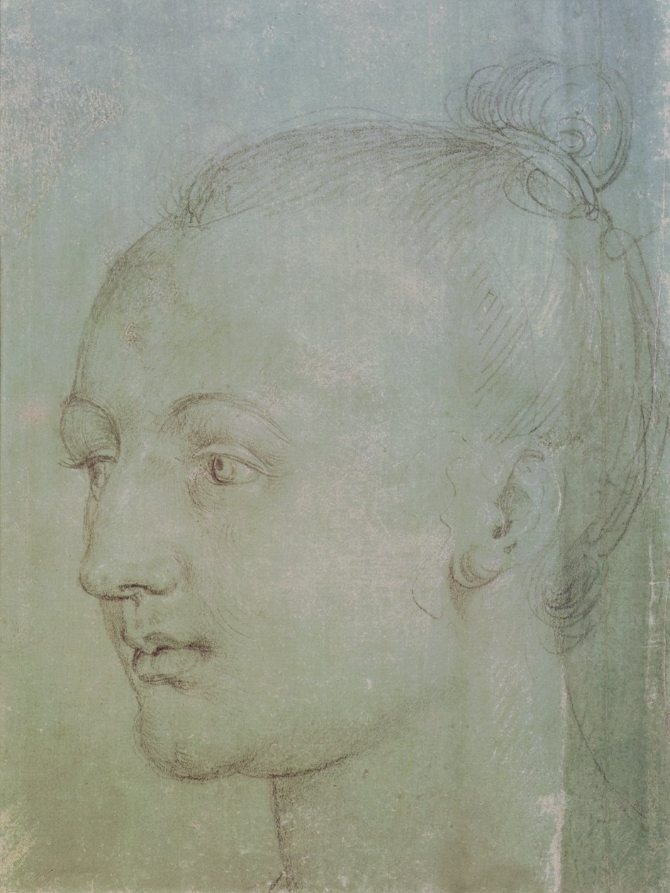 Head of a Young Woman (sort kridt forhøjet med hvidt kridt på grønt papir) af Albrecht Dürer
