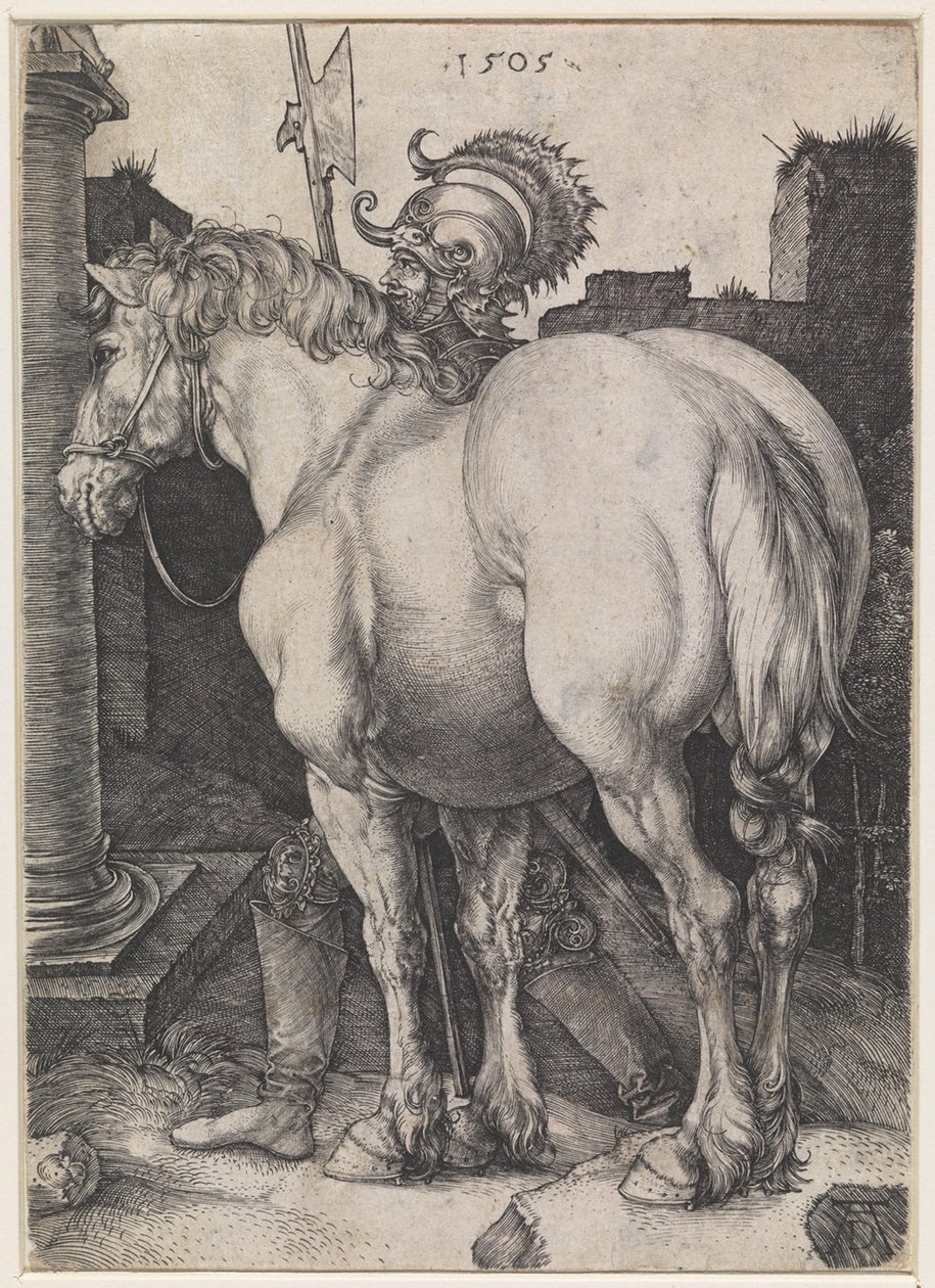Den store hest af Albrecht Dürer