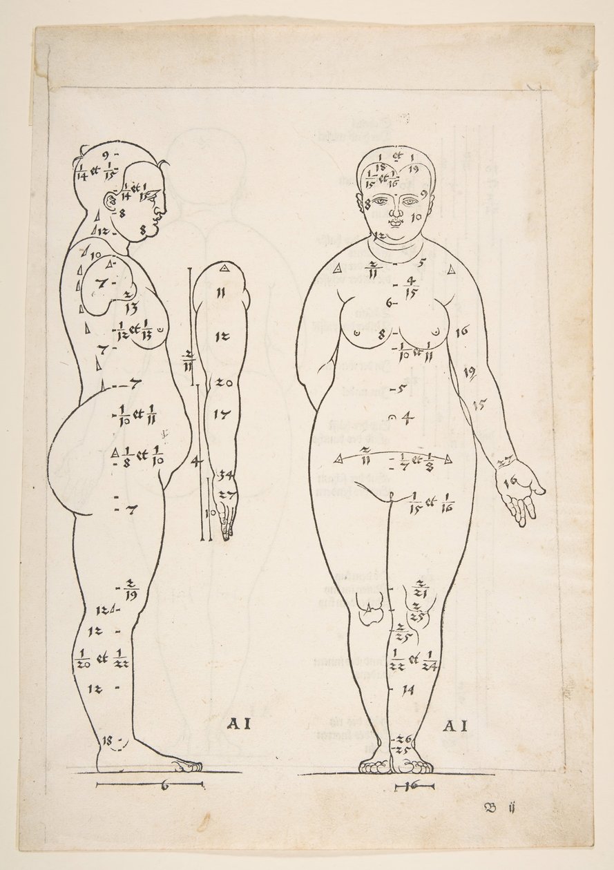 Illustration fra Dürers Fire Books of Human Proportion, Nürnberg, 1528.n.d. af Albrecht Dürer