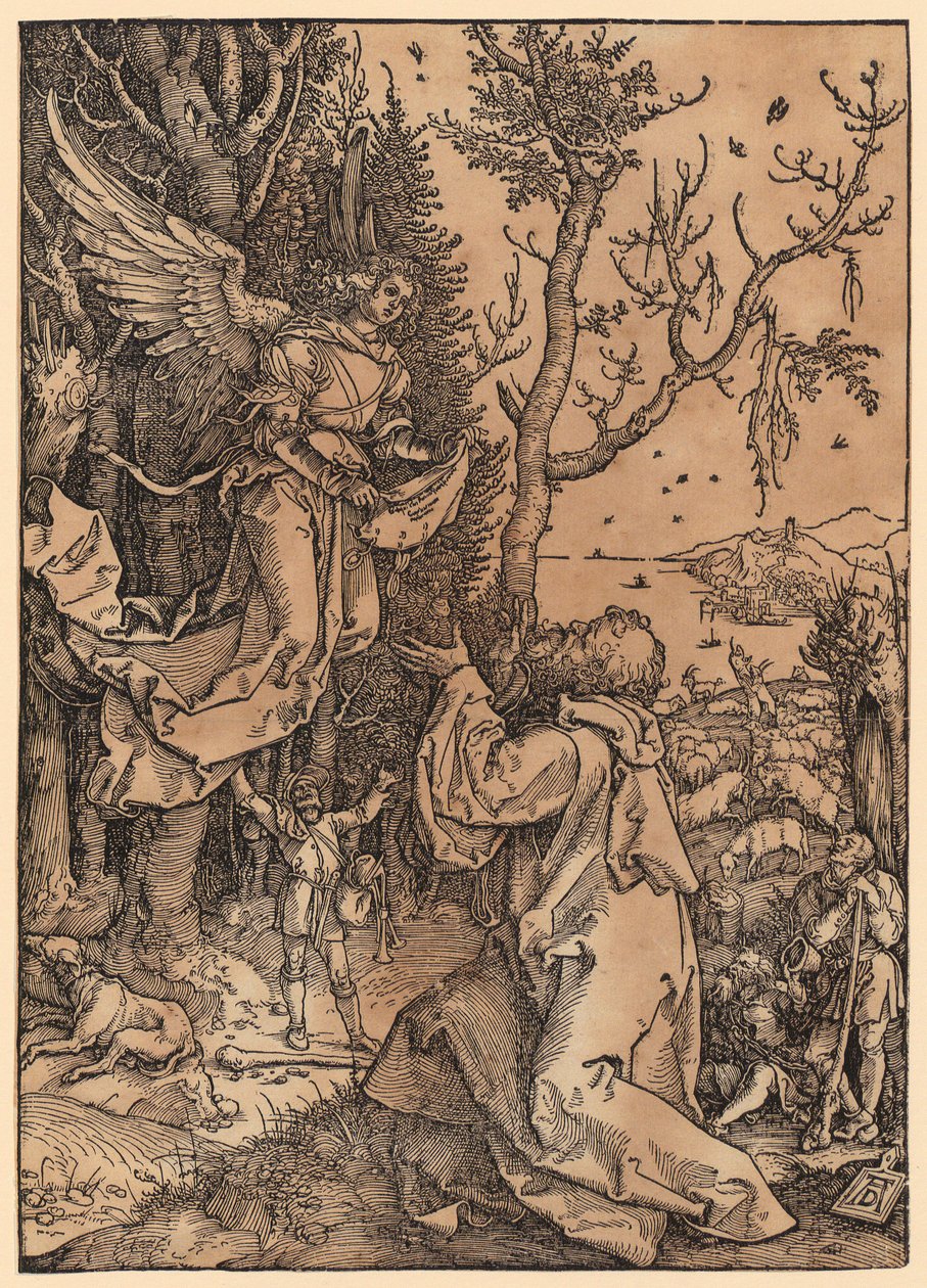 Joachim på marken, blad 3 i serien »Jomfru Marias liv« af Albrecht Dürer