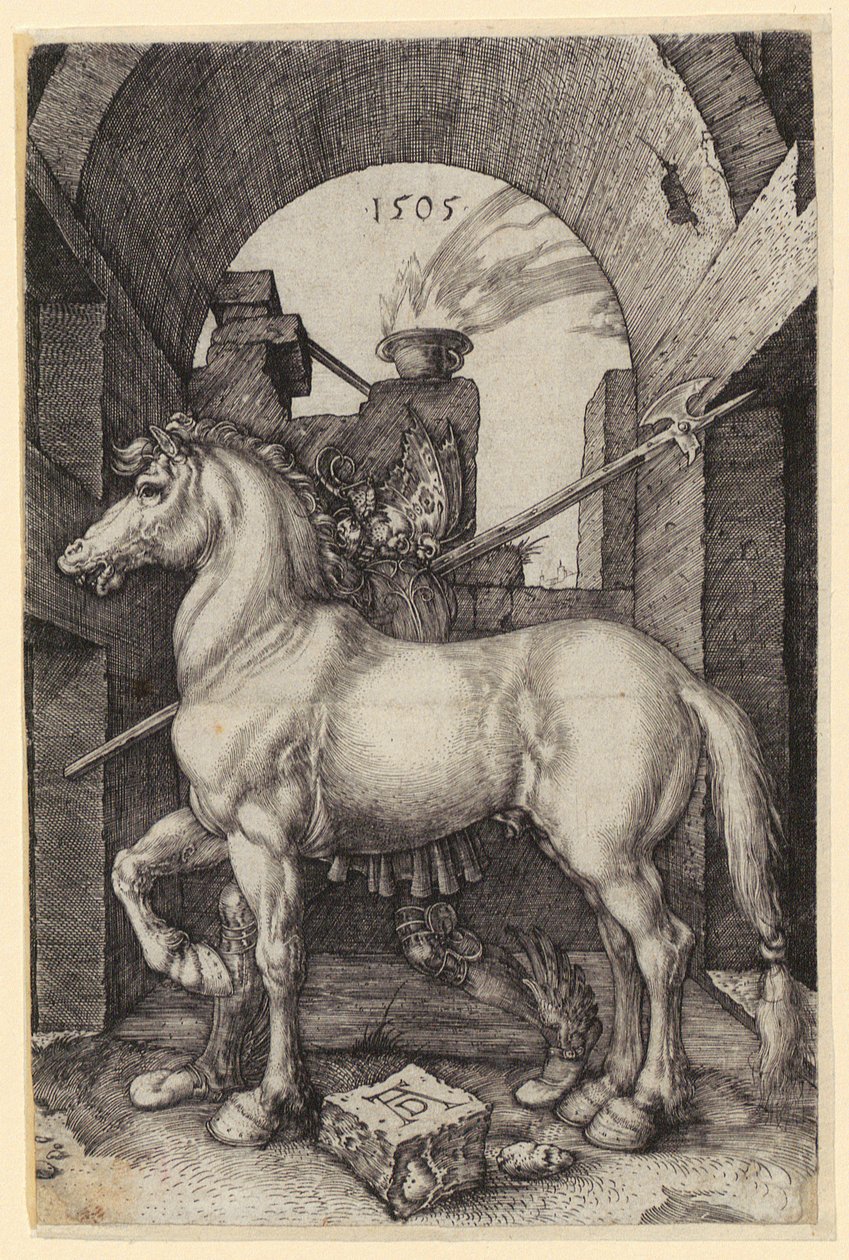 Lille hest af Albrecht Dürer