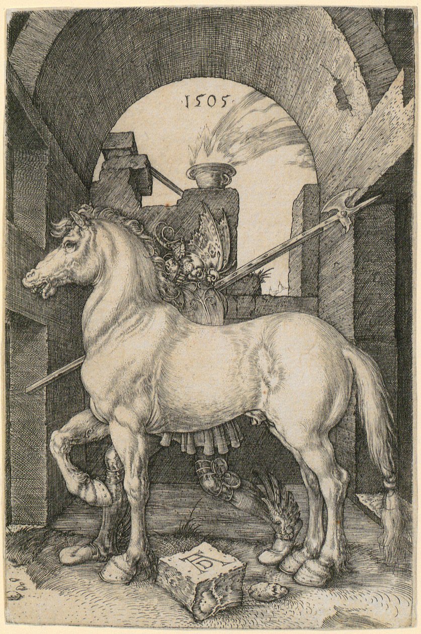 Lille hest af Albrecht Dürer