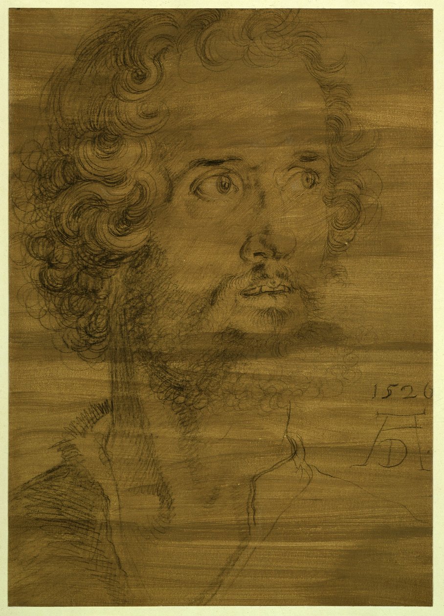Evangelisten Markus’ hoved af Albrecht Dürer