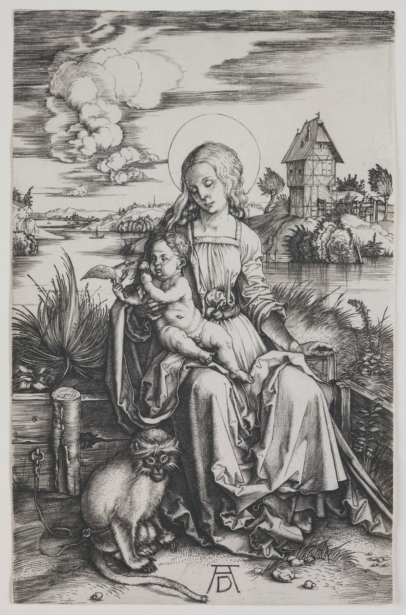 Madonna med aben af Albrecht Dürer