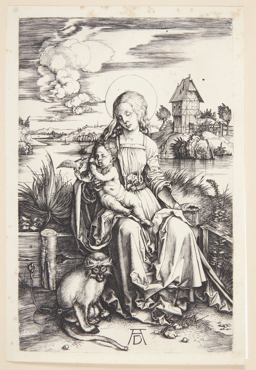 Madonna med aben af Albrecht Dürer