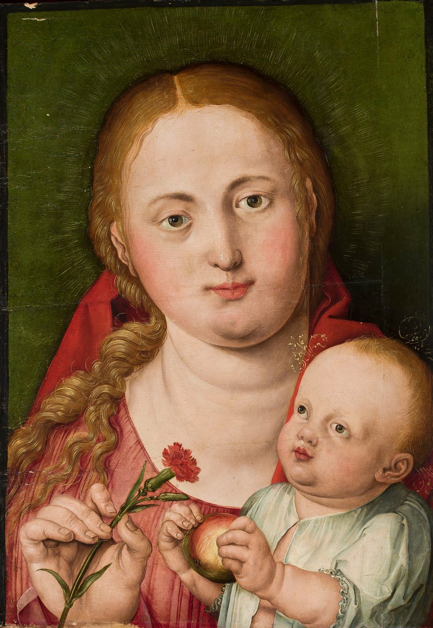 Madonna med Barnet og en nellike af Albrecht Dürer