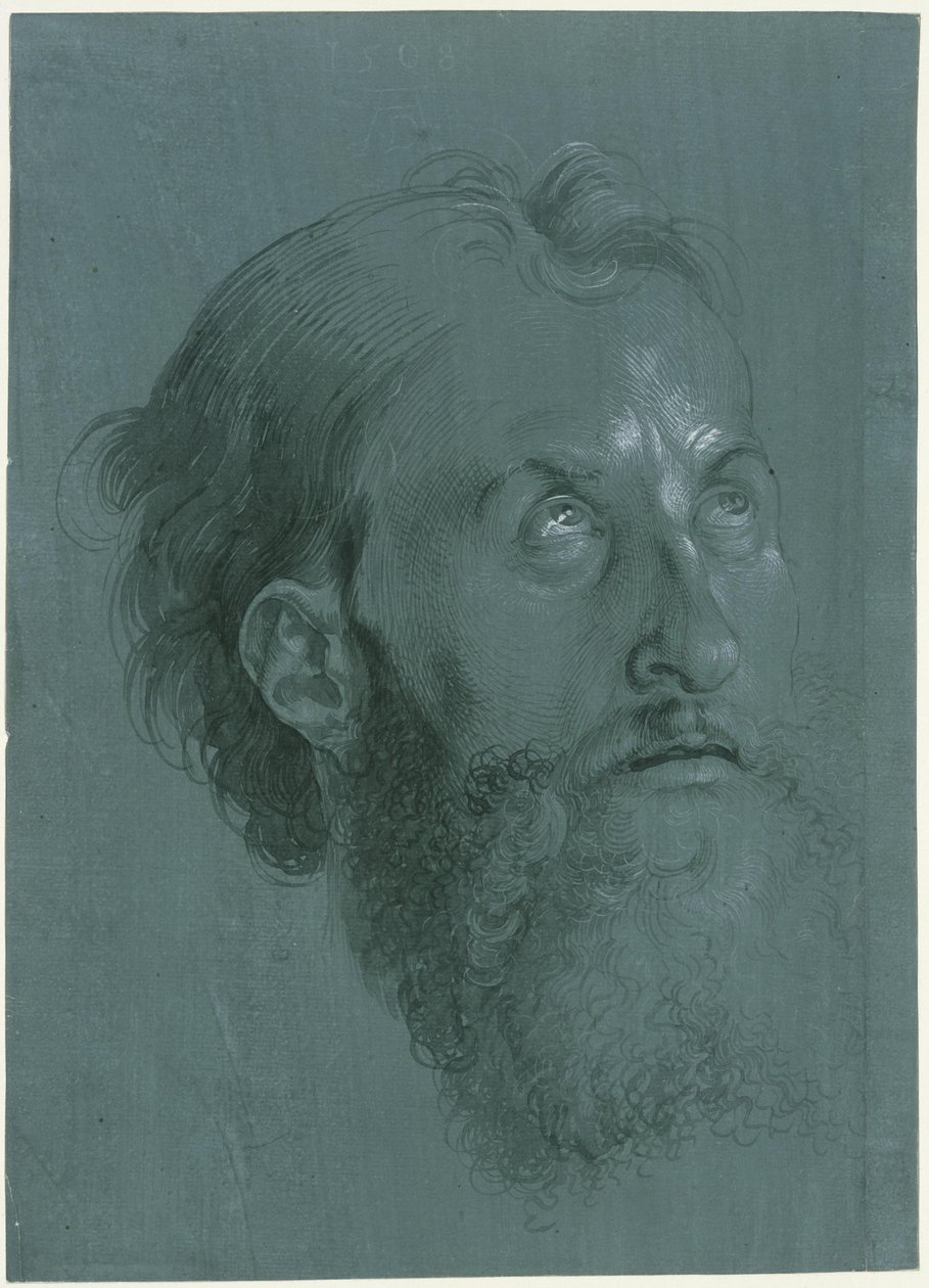 En apostels hoved vendt mod højre af Albrecht Dürer