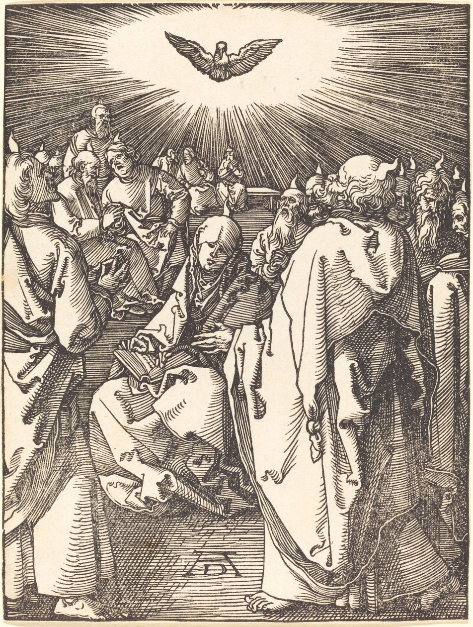 pinse af Albrecht Dürer