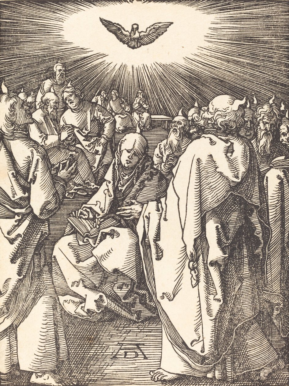 Pinse, sandsynligvis c. 15091510. af Albrecht Dürer