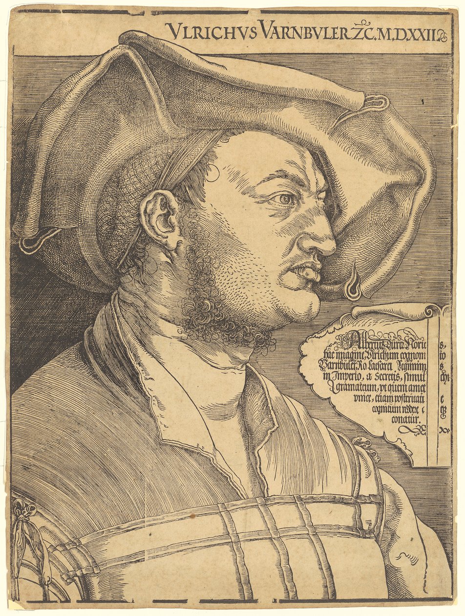 Portræt af Ulrich Varnbüler af Albrecht Dürer