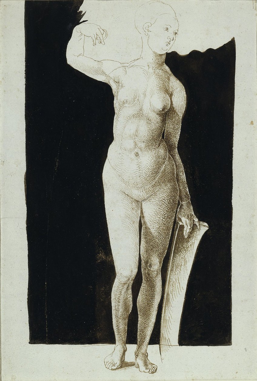 Andel undersøgelse af nøgen kvinde med et skjold, 1500 af Albrecht Dürer