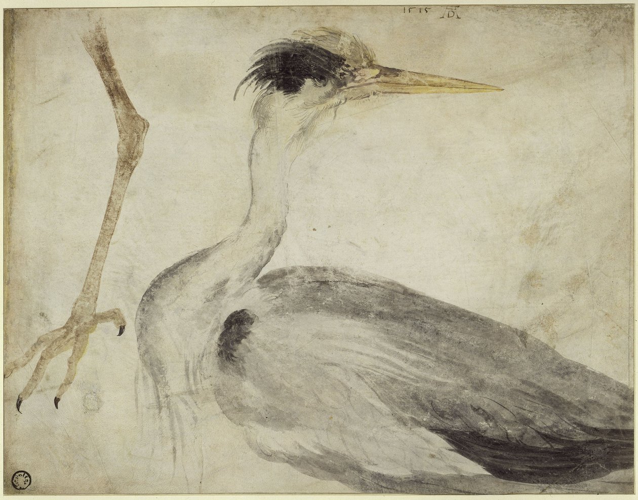 Hejre af Albrecht Dürer