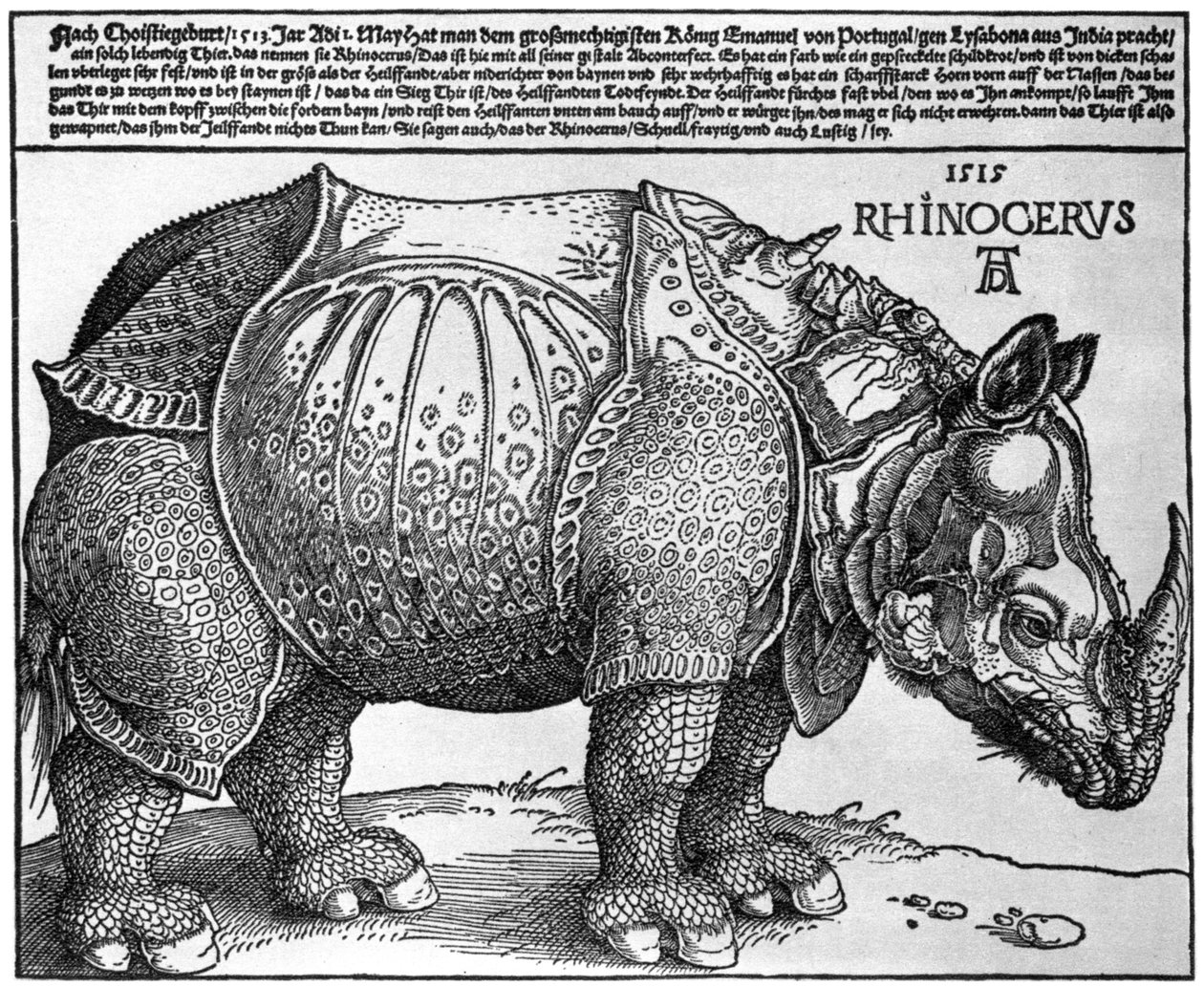 Næsehorn, tryk givet til Maximilian I af kongen af Lissabon, 1515, 1936 af Albrecht Dürer