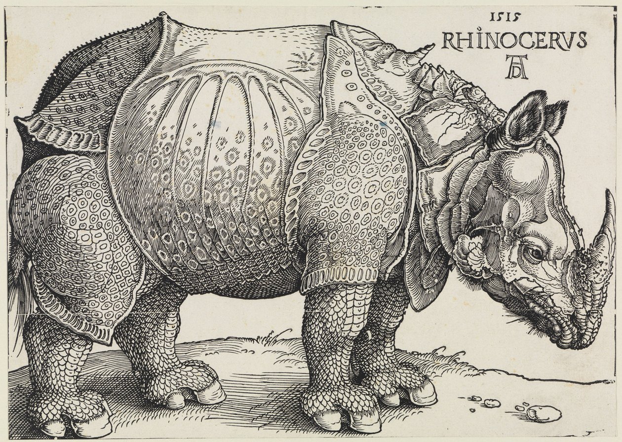 Rhinocerus (Næsehornet) af Albrecht Dürer