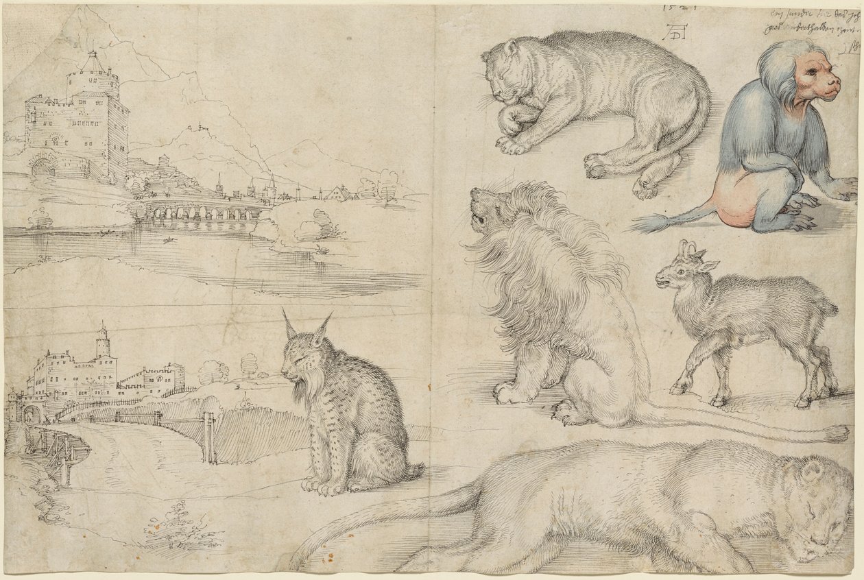 Skitser af dyr og landskaber, 1521. af Albrecht Dürer