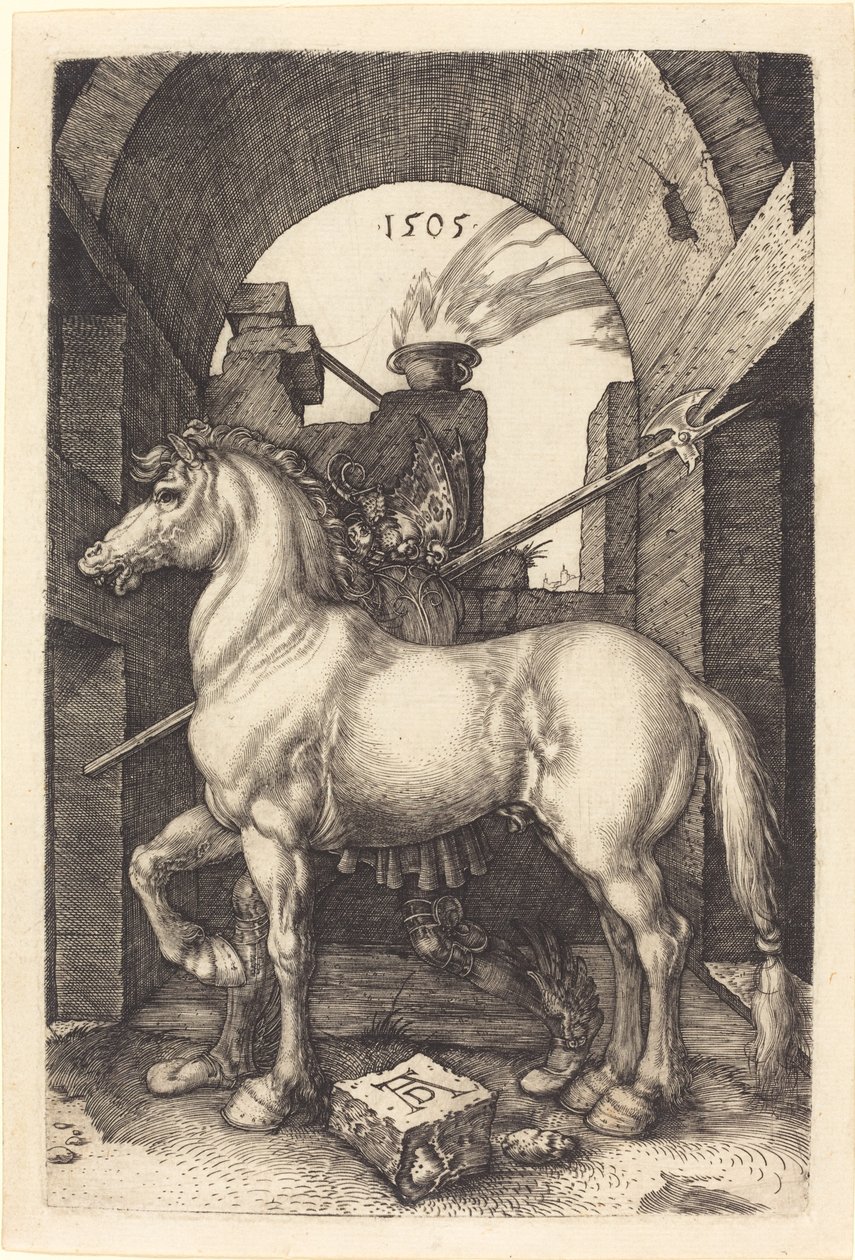 Lille Hest af Albrecht Dürer
