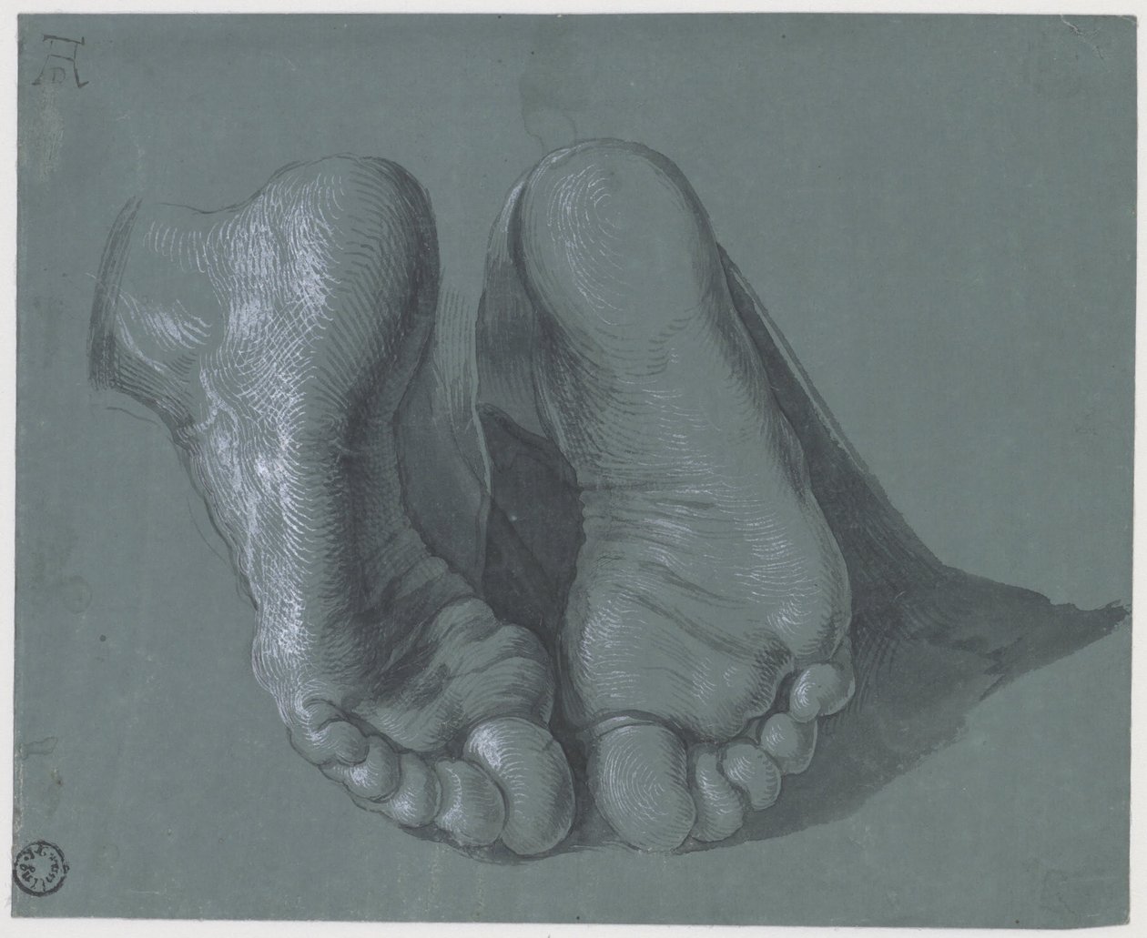Study of Two Feet, c.1508 af Albrecht Dürer