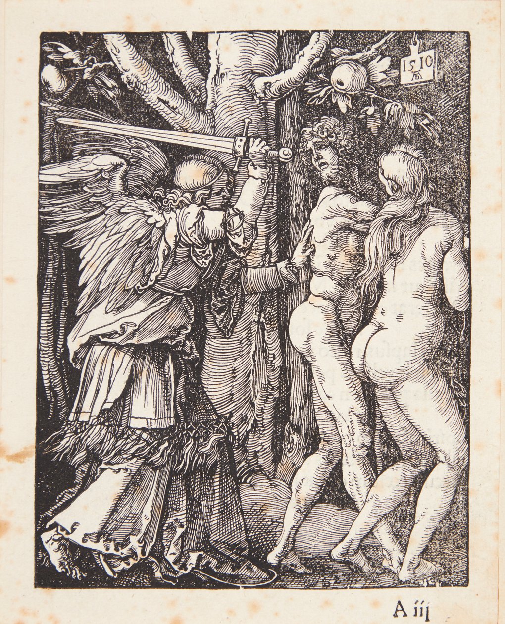 Uddrivelsen fra Paradiset af Albrecht Dürer