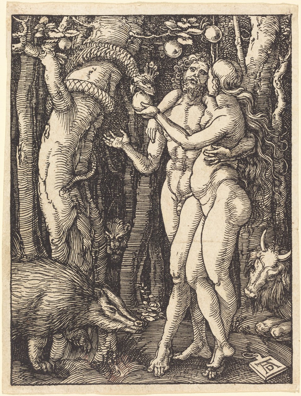 Syndefaldet af Albrecht Dürer