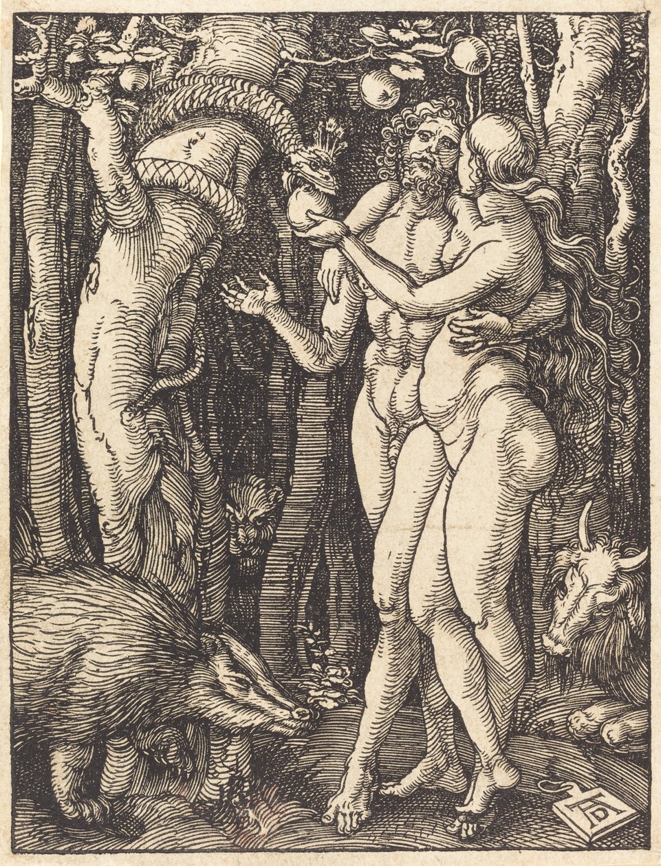 Menneskets fald, sandsynligvis ca. 15091510. af Albrecht Dürer