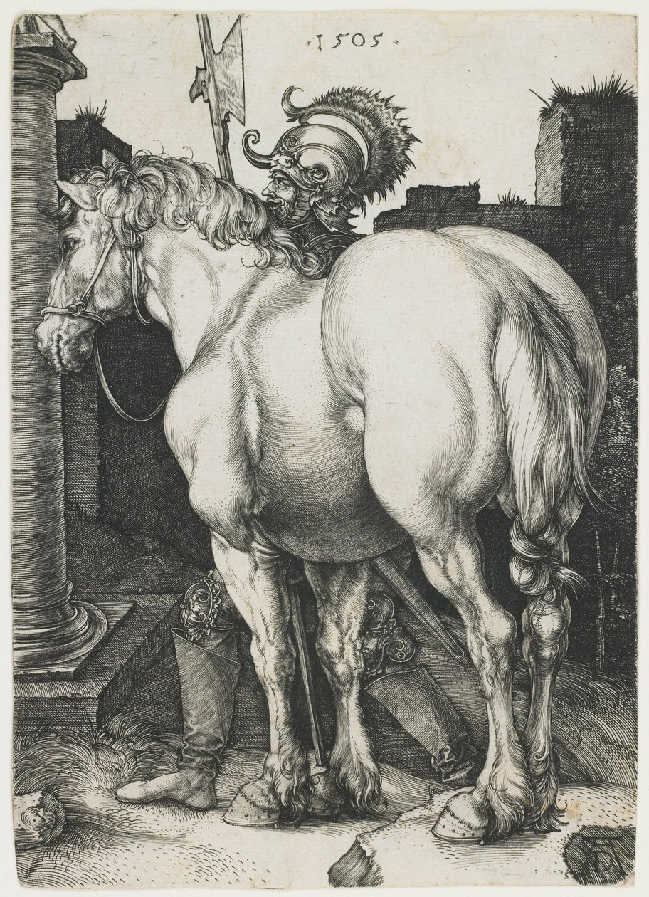 Den store hest af Albrecht Dürer