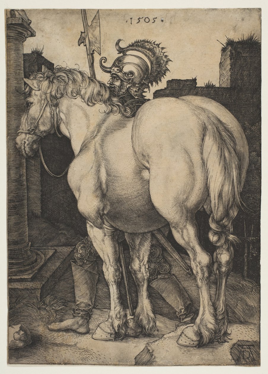 Den store hest af Albrecht Dürer