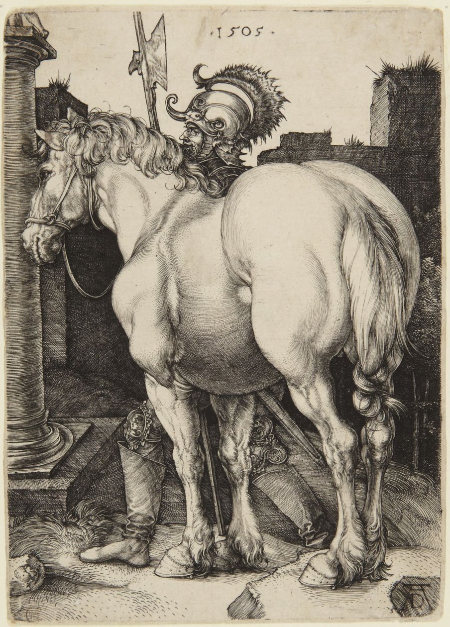 Den store hest af Albrecht Dürer