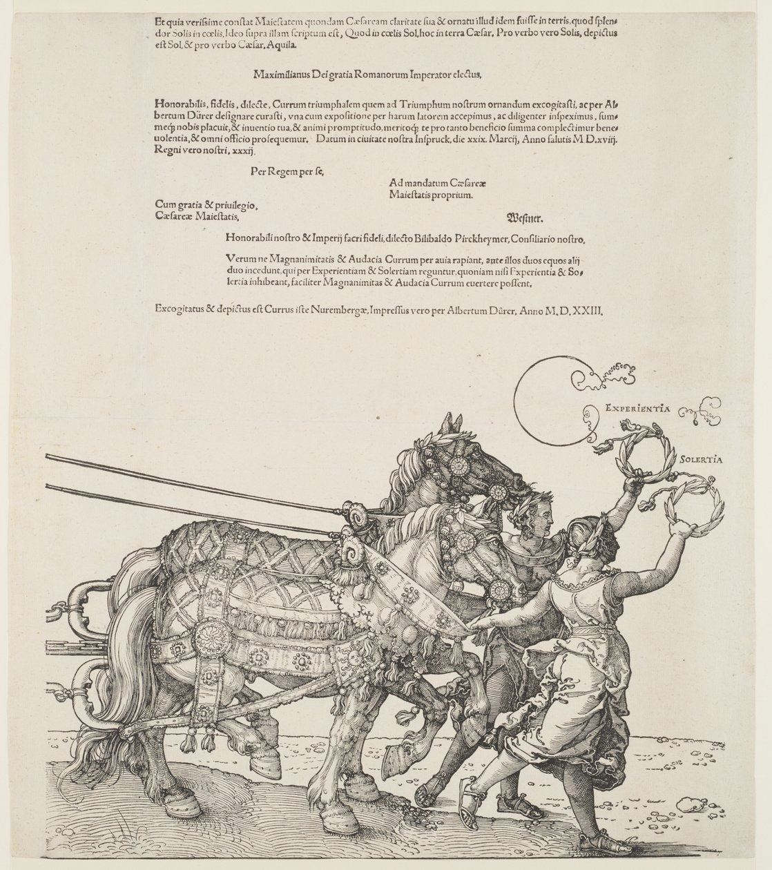 Den store triumfvogn: Erfaring og dygtighed af Albrecht Dürer