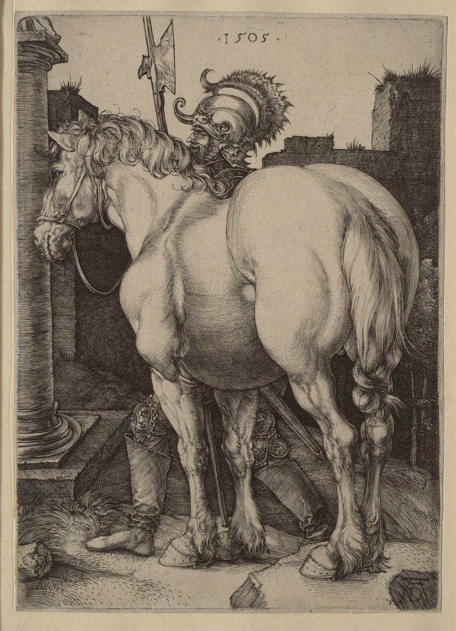 Den store hest af Albrecht Dürer