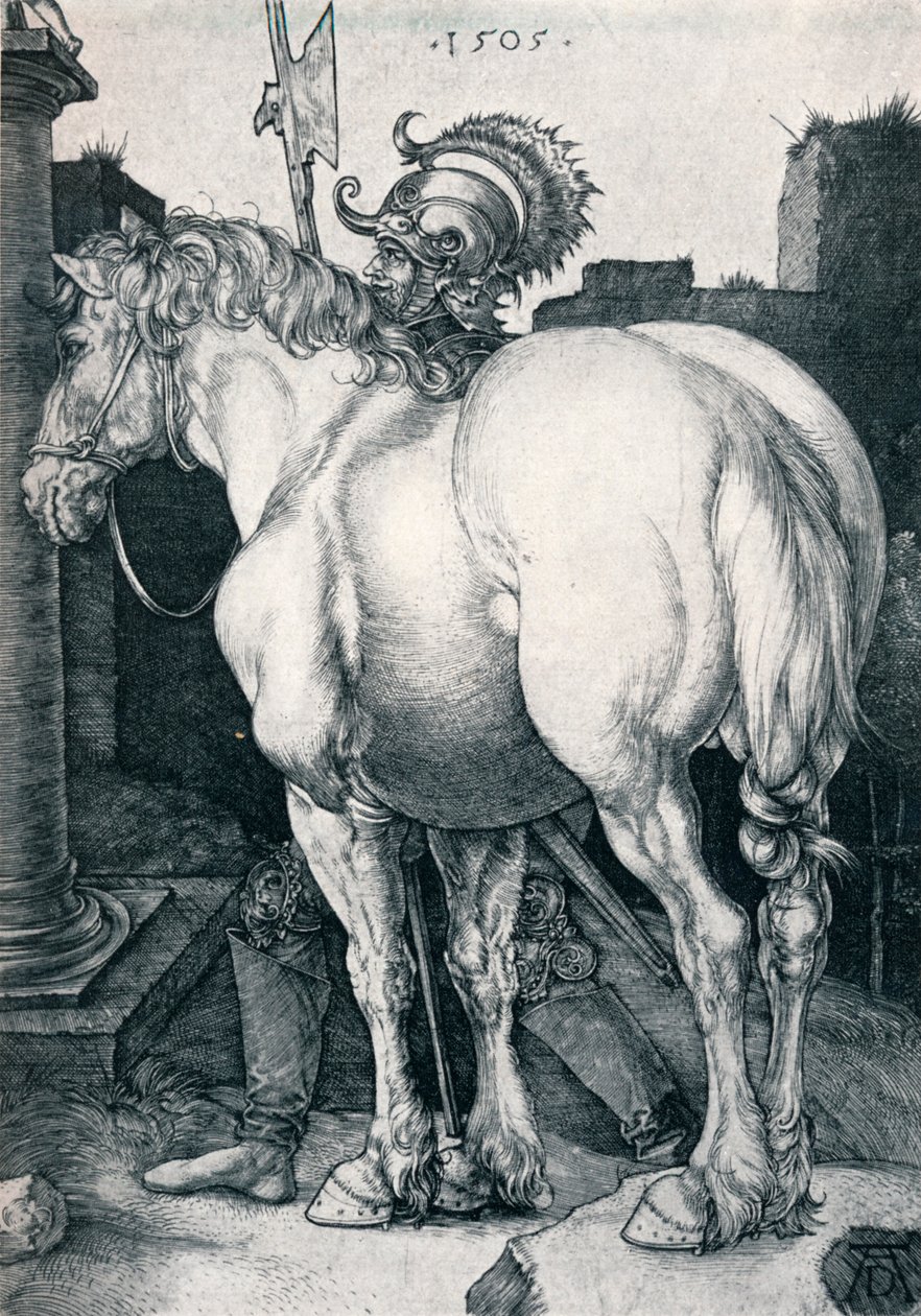 Den store hest, 1505 1906 af Albrecht Dürer