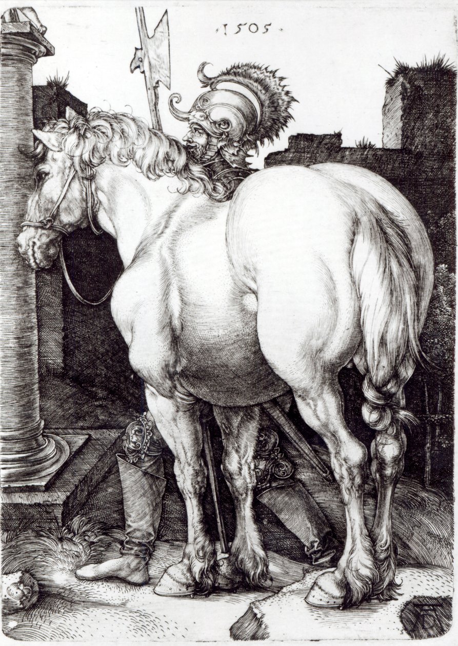 Den store hest, 1509 af Albrecht Dürer