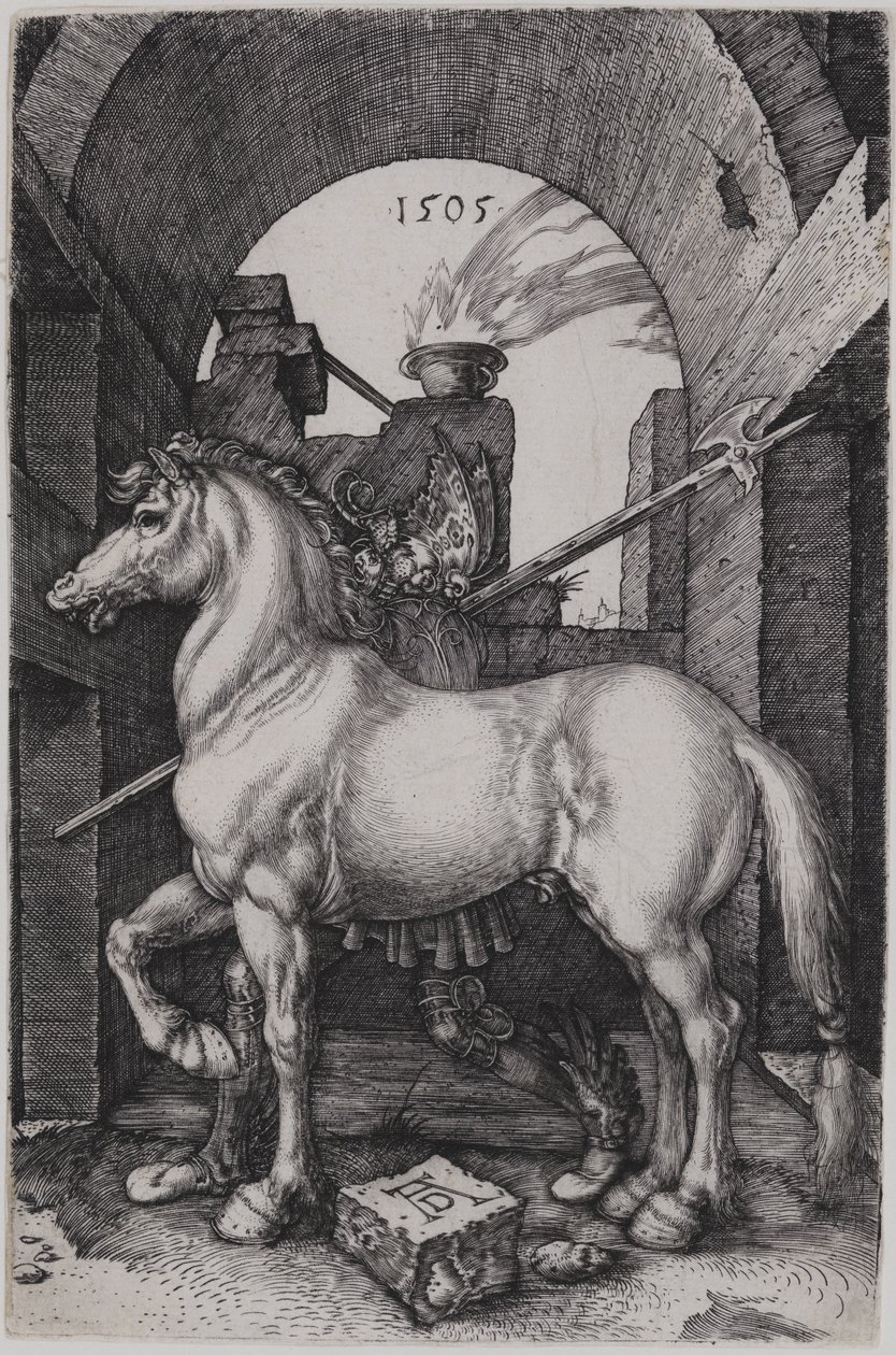Den lille hest af Albrecht Dürer