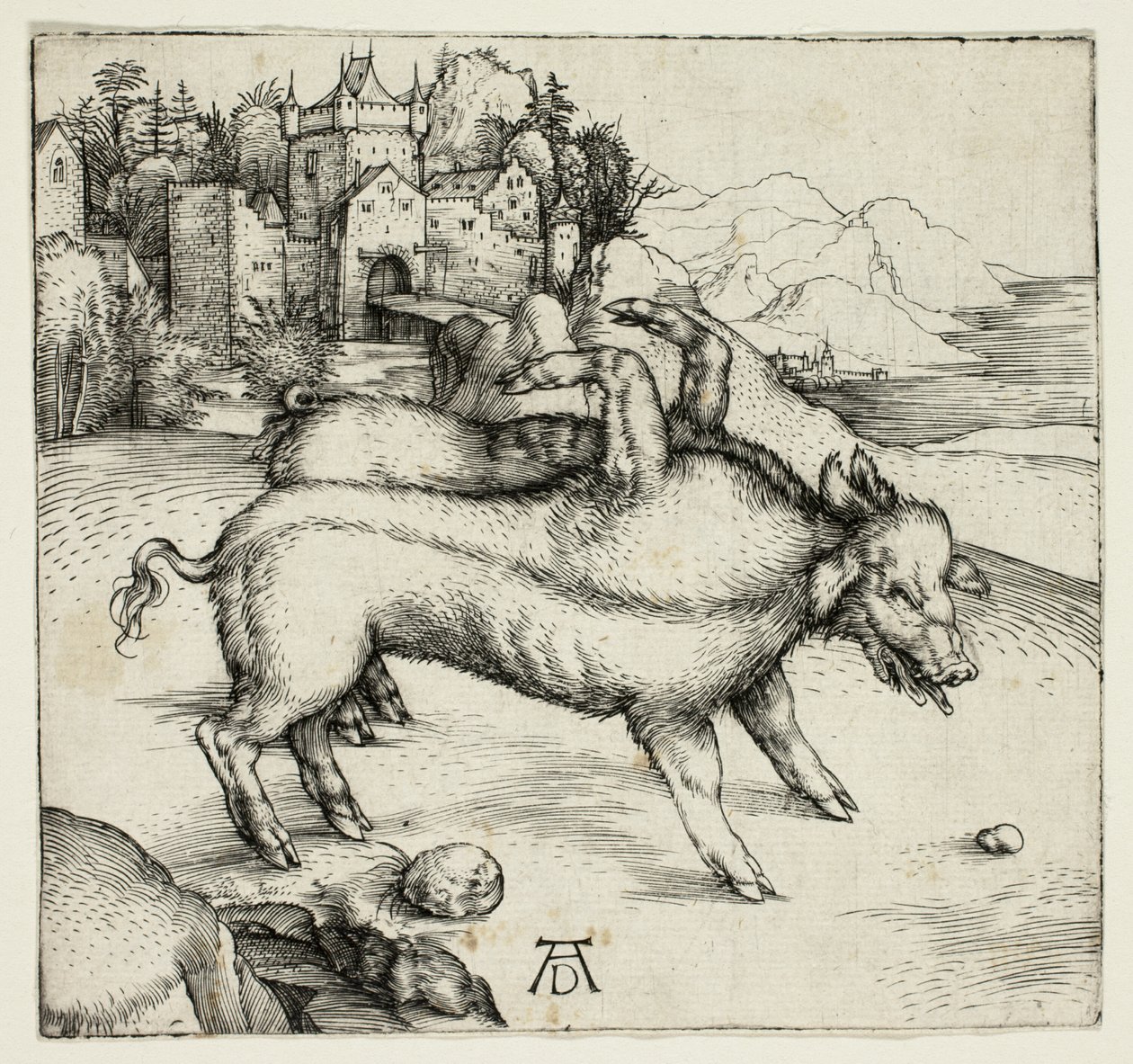 Den monstrøse So af Landser af Albrecht Dürer