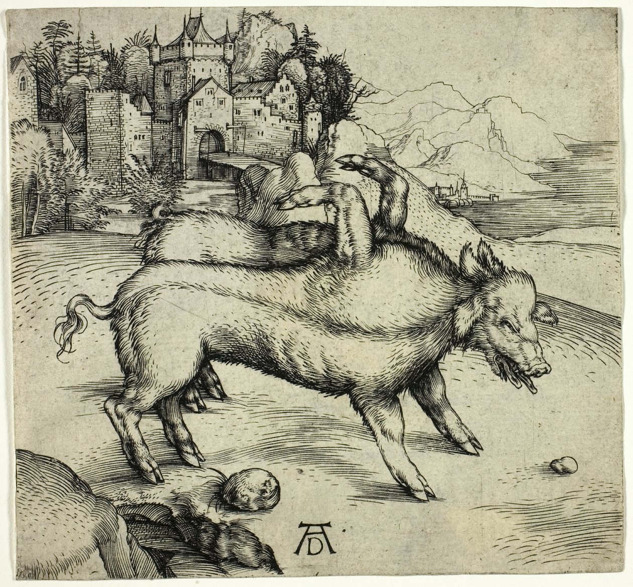 Den monstrøse So af Landser af Albrecht Dürer