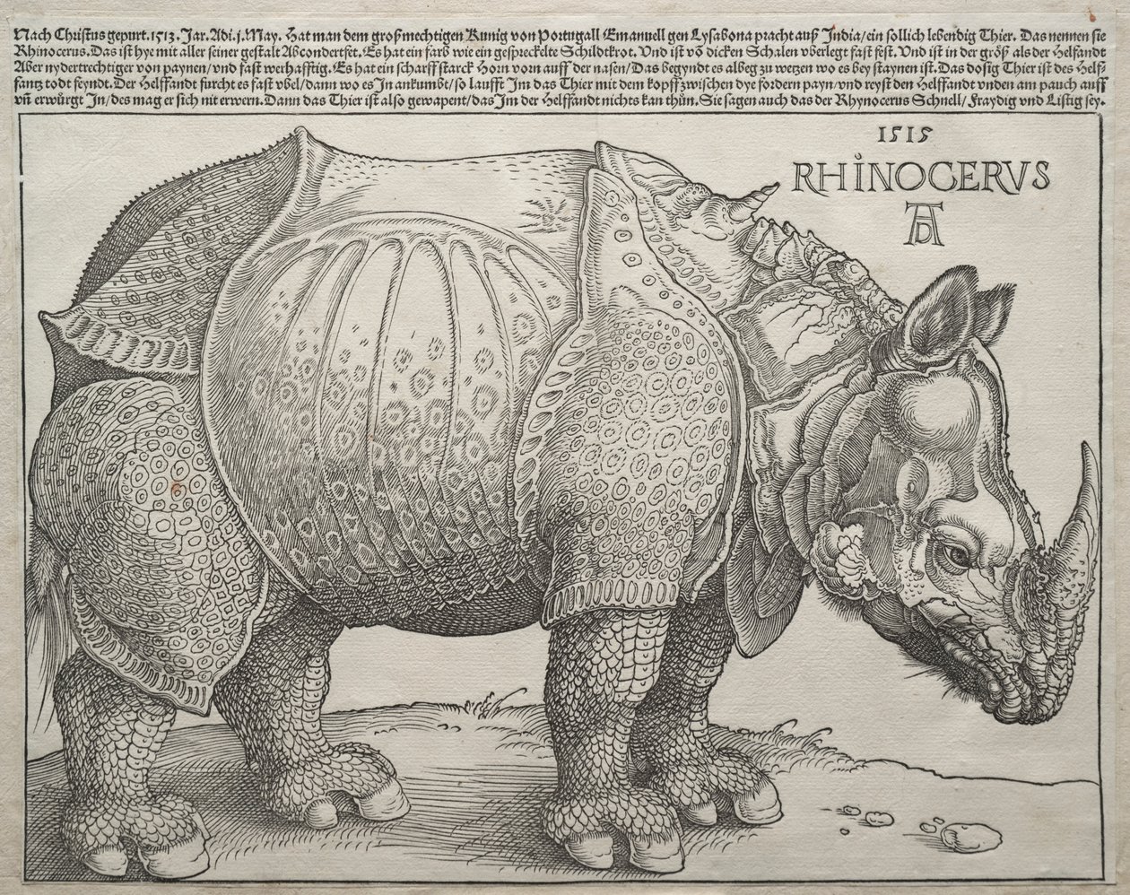 Næsehornet, 1515. af Albrecht Dürer