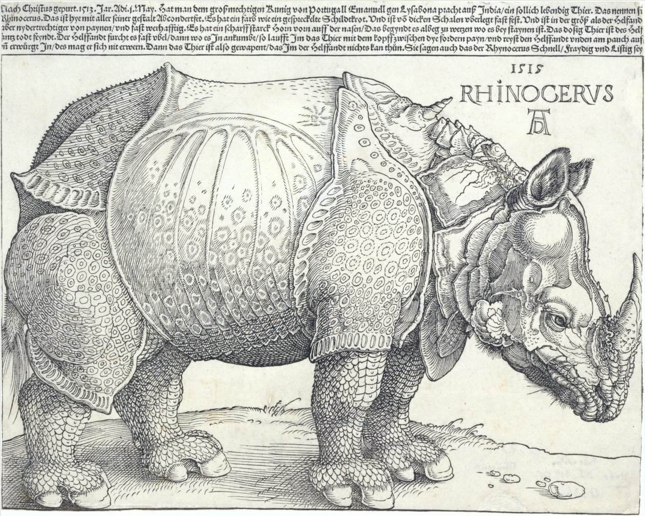 Næsehornet, 1515., 1515. af Albrecht Dürer