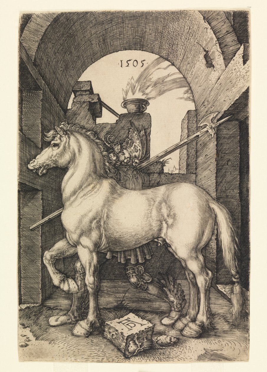 Den lille Hest af Albrecht Dürer
