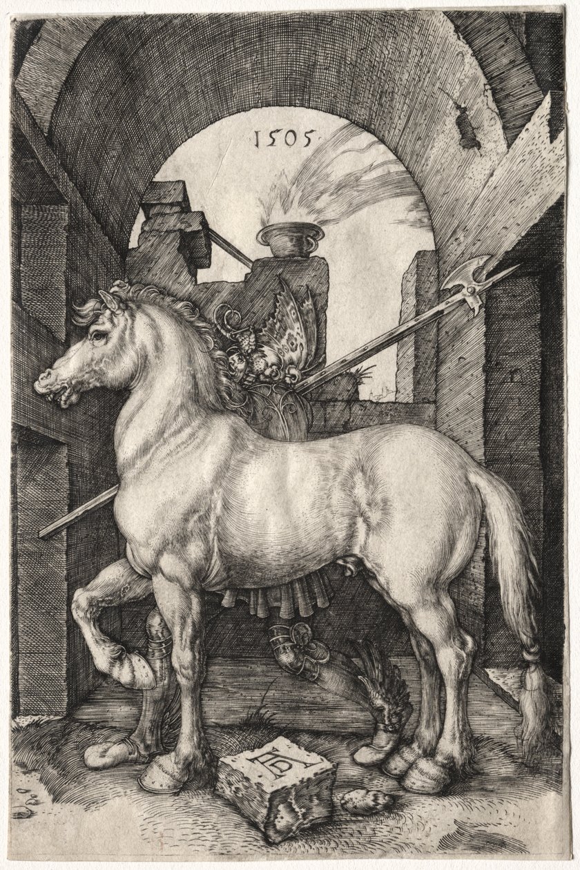 Den lille Hest af Albrecht Dürer