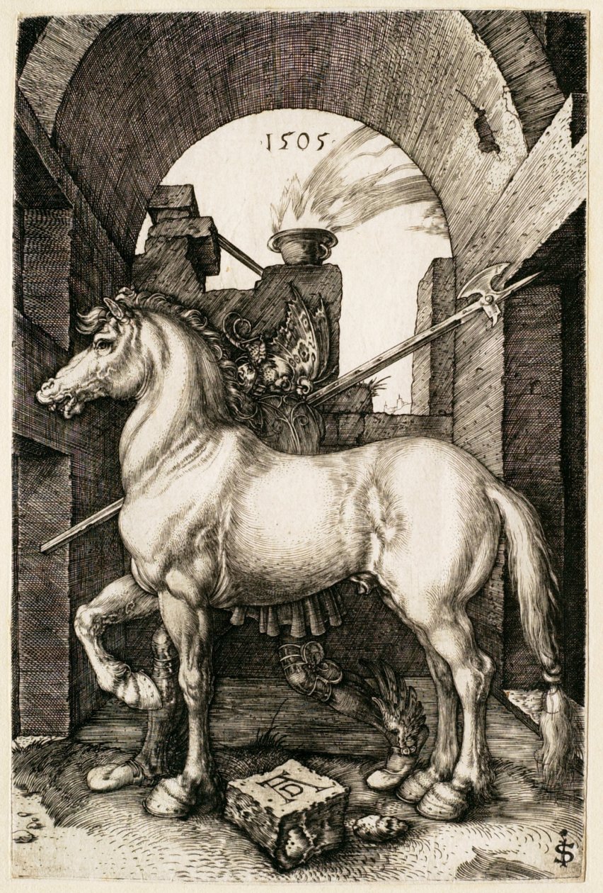Den lille hest af Albrecht Dürer