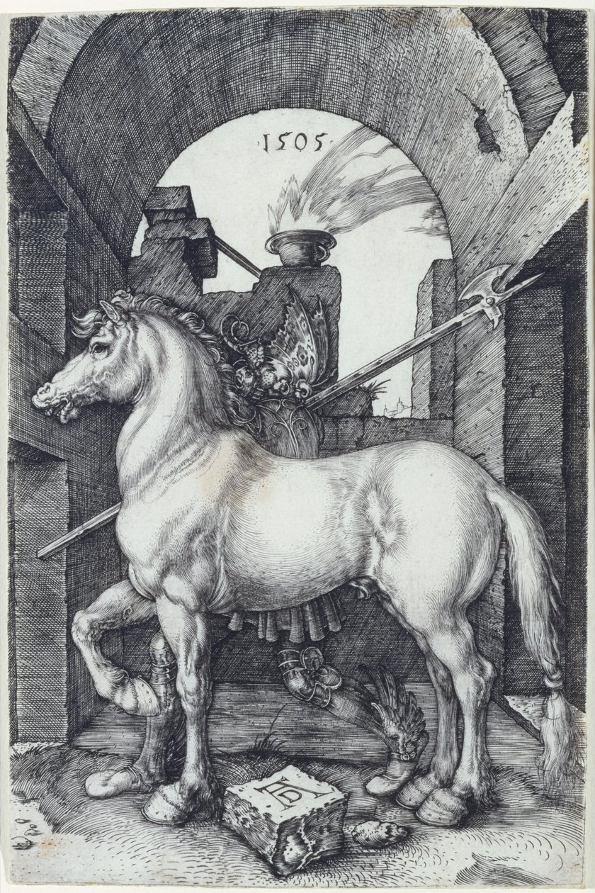Den lille hest, 1505 af Albrecht Dürer