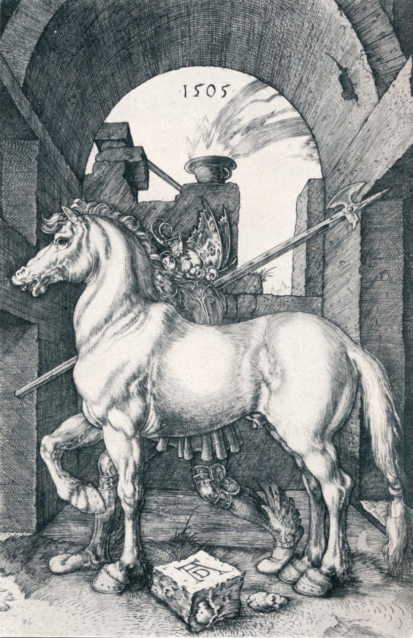 Den lille hest, 1505 1906 af Albrecht Dürer