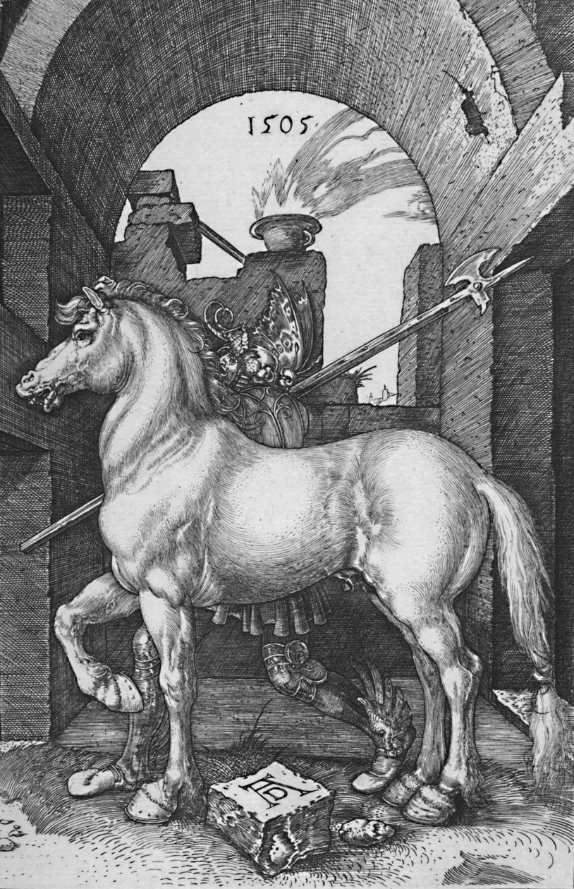 Den lille hest, 1505, 1906 af Albrecht Dürer