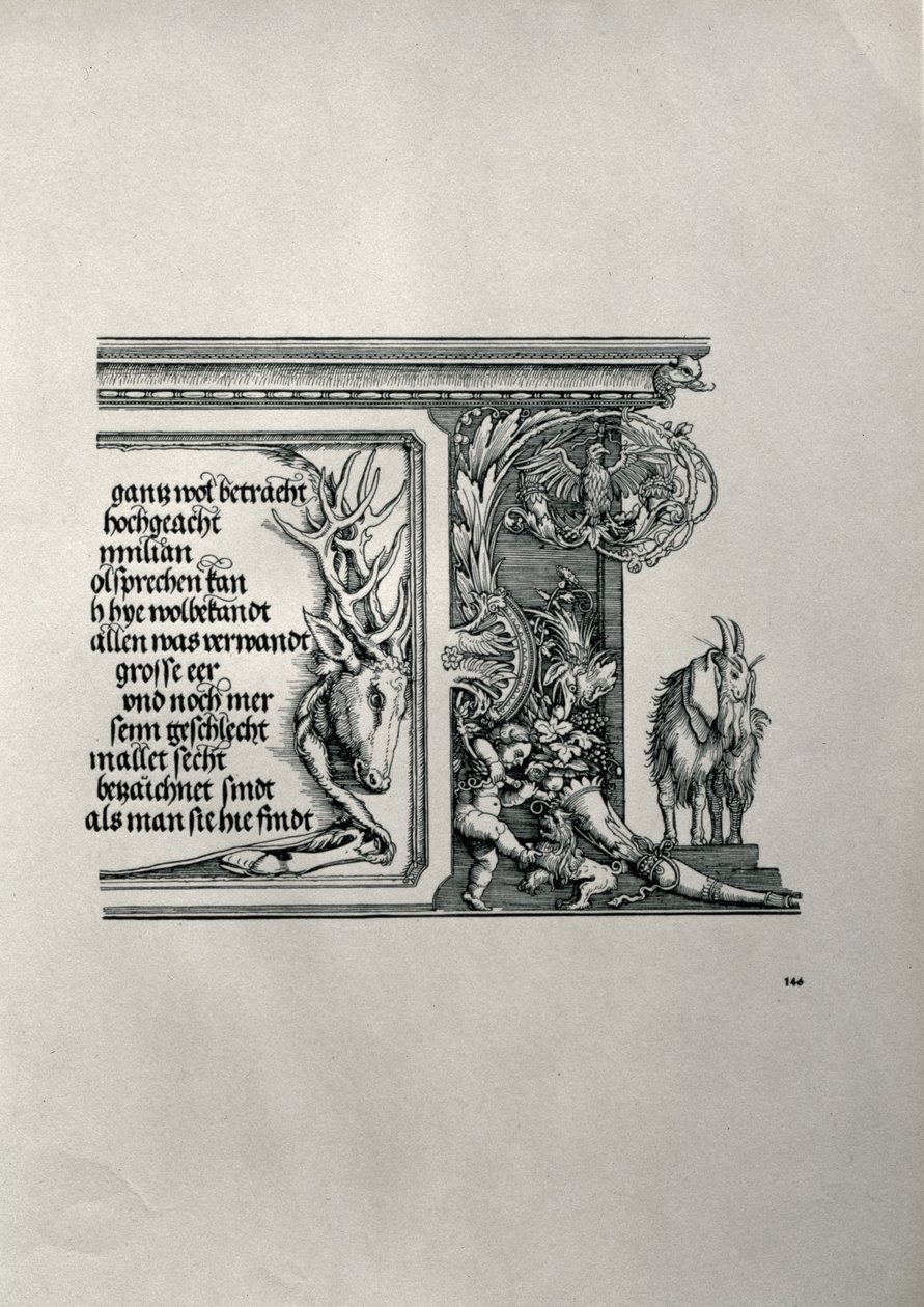 Triumfbuen for kejser Maximilian I af Tyskland 1459-1519: detalje af et hjorteskind med en inskription, der hylder kejsernes familieforbindelser, med en ged med floppy-ører, symbol på skarpheden af ​​hea af Albrecht Dürer
