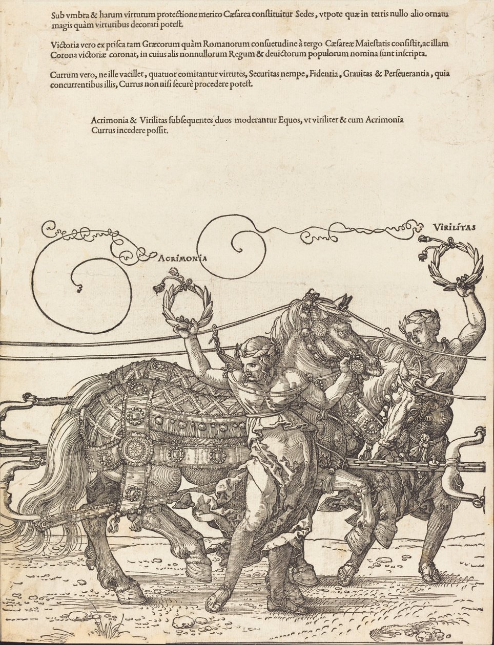 Den triumfiske vogn af Maximilian I den store triumfe bil [plade 6 af 8], 1523 latin ed .. af Albrecht Dürer