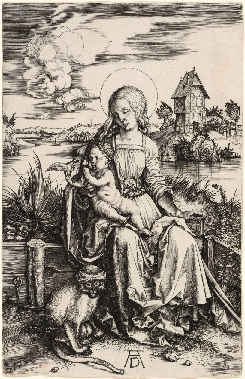 Jomfruen med barnet og aben af Albrecht Dürer