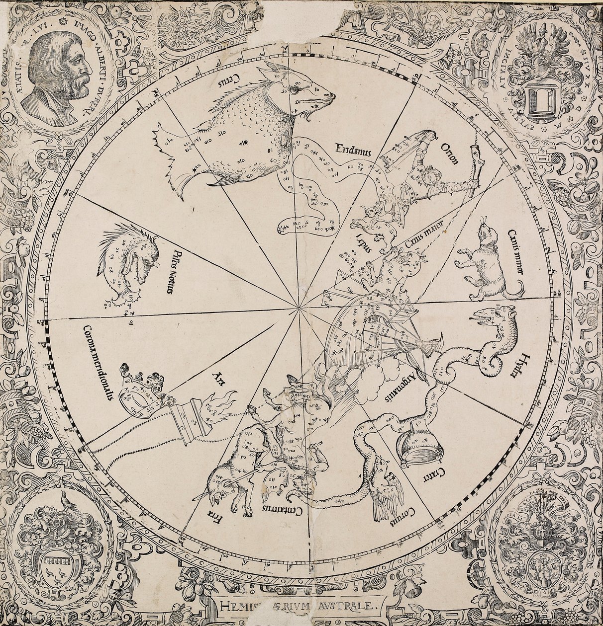 Det chelestiale diagram af den sydlige halvkugle, begyndelsen af det 16. århundrede af Albrecht Dürer