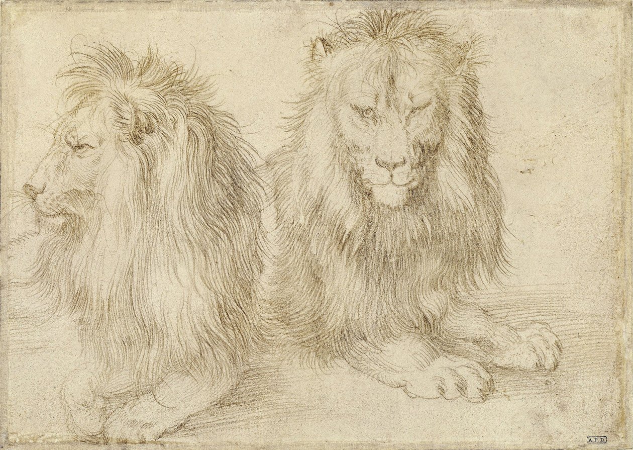 To siddende løver, 1521 af Albrecht Dürer